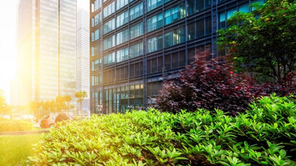 Sostenibilidad, una huella de eficiencia, innovación y&nbsp;rentabilidad