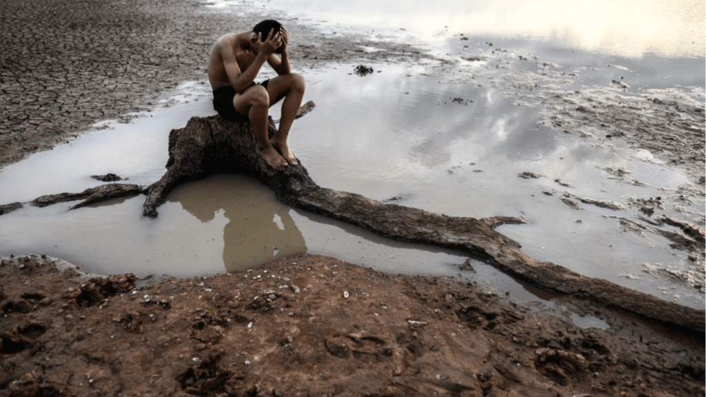 Seguridad alimentaria y contaminación de agua: los temas que más preocupan en términos de sustentabilidad a líderes&nbsp;empresariales