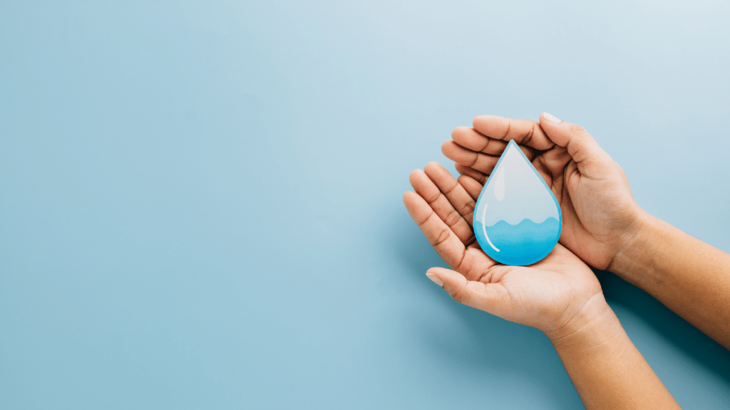 Grupo Herdez celebra el Día Mundial del Medioambiente con avance positivo hacia su meta de reducción de agua para&nbsp;2030