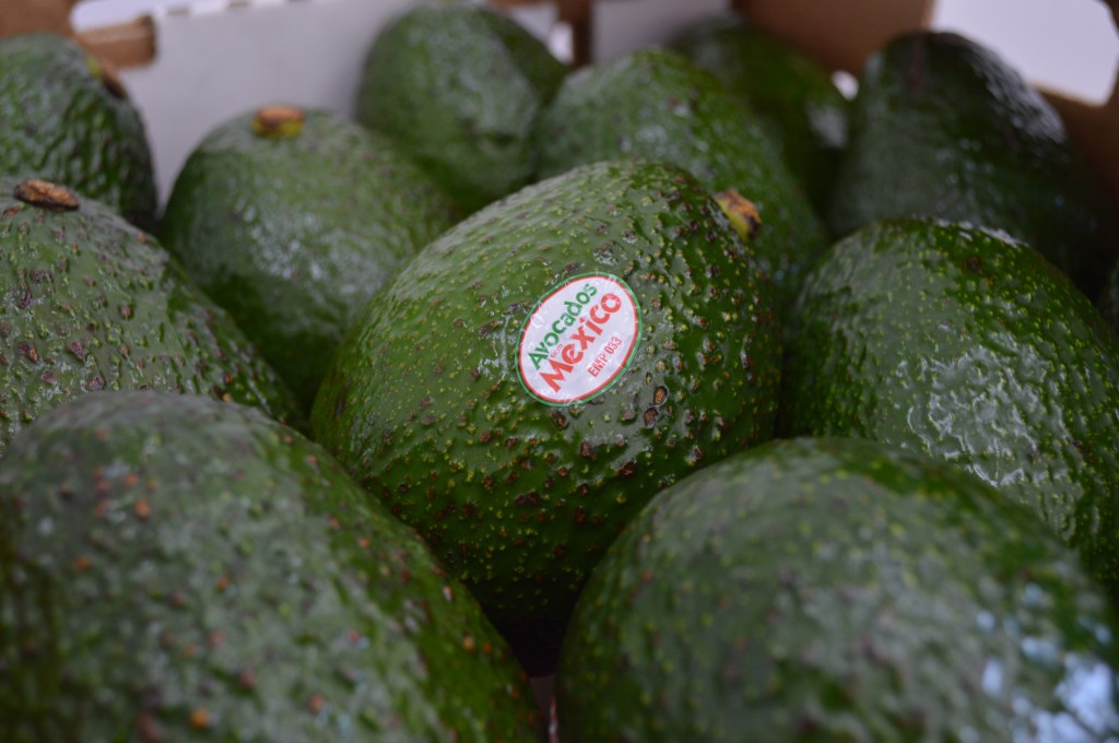 México: el único país del mundo que produce aguacate todos los días del&nbsp;año