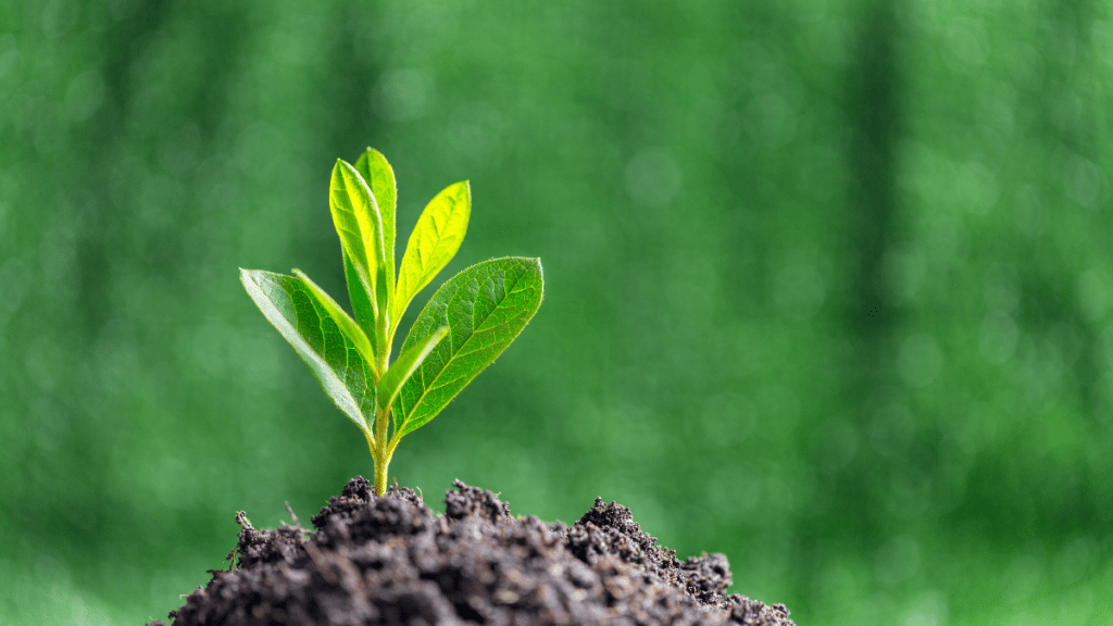 30.5 millones de m2 hacia la sostenibilidad: AMEFIBRA lidera el cambio en su webinar&nbsp;anual