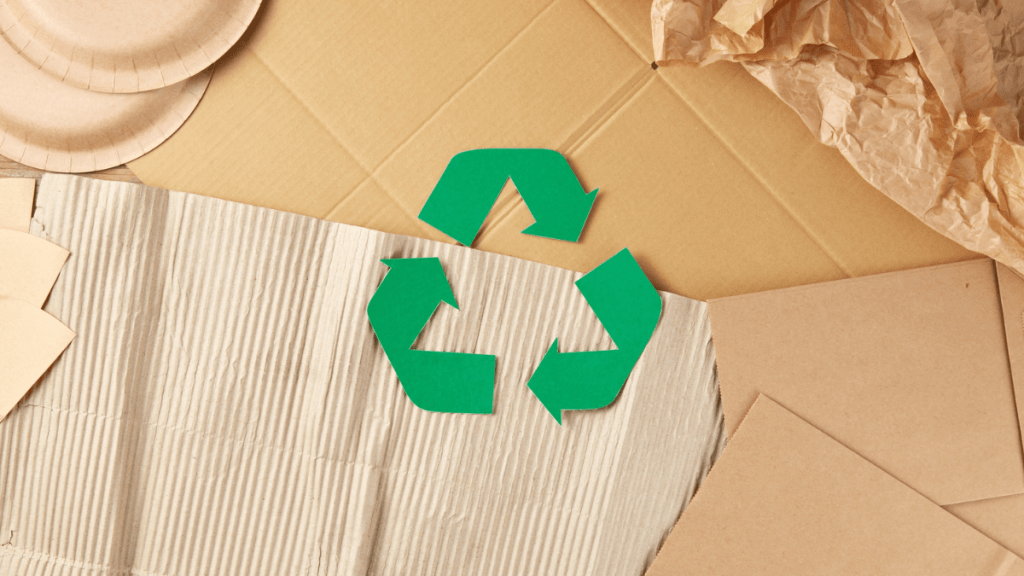 Scribe lanza su nueva línea Tree Free Terra, fabricada con fibras 100%&nbsp;recicladas