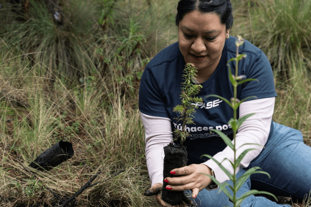 PASE reforesta 2.5 hectáreas de bosque e impulsa la movilidad&nbsp;sostenible