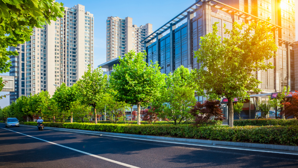 Fortalecen Consejo Ciudadano y Consejería Jurídica alianza&nbsp;estratégica