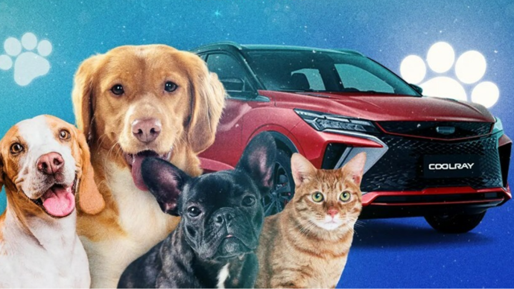 Geely vuelve a brindar ayudar a los animales rescatados de&nbsp;México