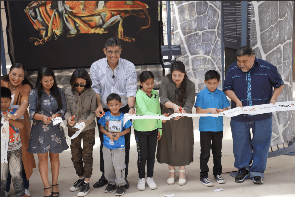 Anuncia DIF Oaxaca tercera edición de VeraNiñez para diversión de las infancias y&nbsp;adolescencias